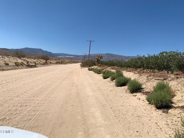 10080 Santa Fe Fire Rd, Lucerne Valley, CA 92356 - photo 4