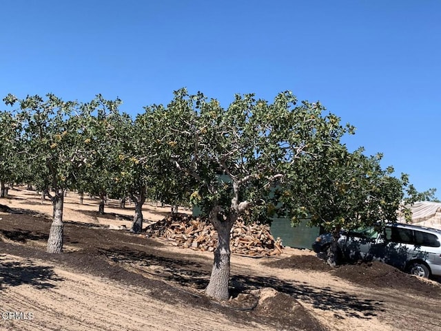 10080 Santa Fe Fire Rd, Lucerne Valley, CA 92356 - photo 32