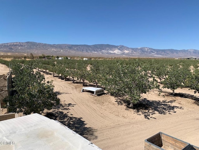 10080 Santa Fe Fire Rd, Lucerne Valley, CA 92356 - photo 23