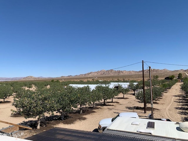 10080 Santa Fe Fire Rd, Lucerne Valley, CA 92356 - photo 22