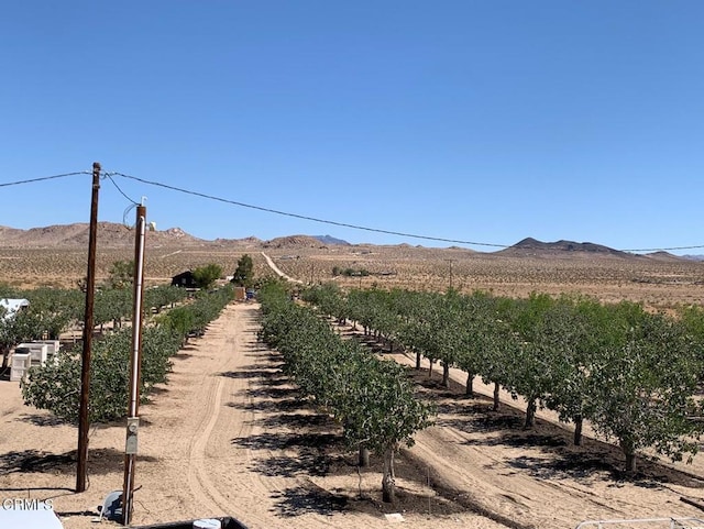 10080 Santa Fe Fire Rd, Lucerne Valley, CA 92356 - photo 16