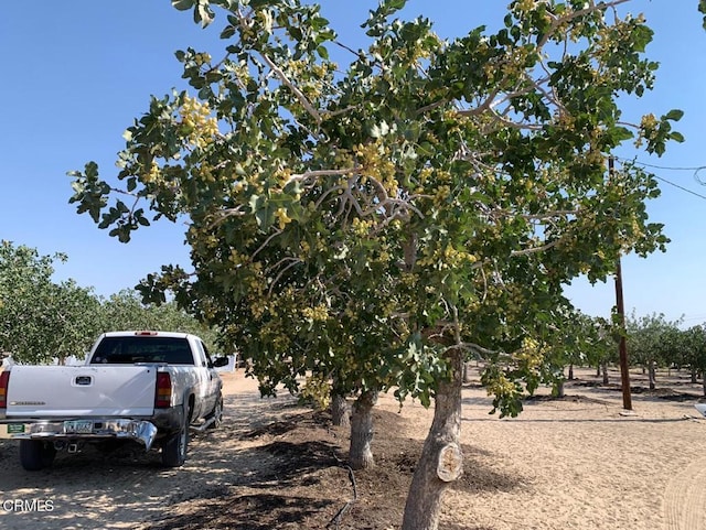 10080 Santa Fe Fire Rd, Lucerne Valley, CA 92356 - photo 36