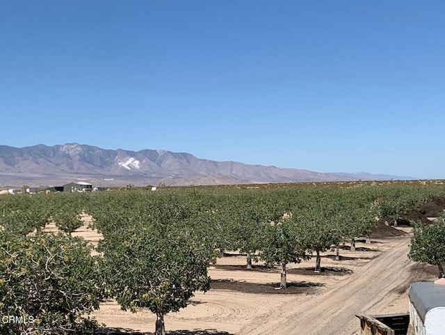 10080 Santa Fe Fire Rd, Lucerne Valley, CA 92356 - photo 15