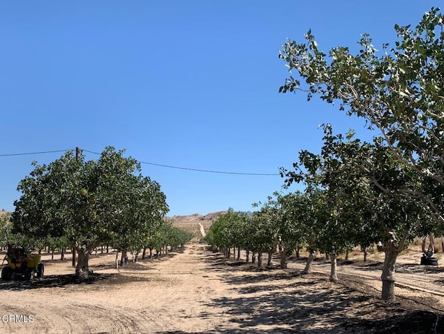 10080 Santa Fe Fire Rd, Lucerne Valley, CA 92356 - photo 31