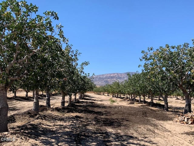 10080 Santa Fe Fire Rd, Lucerne Valley, CA 92356 - photo 2