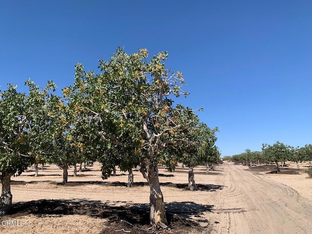10080 Santa Fe Fire Rd, Lucerne Valley, CA 92356 - photo 14