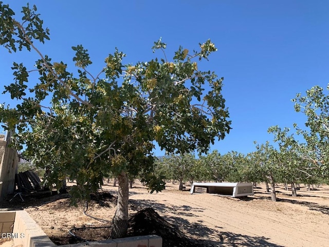 10080 Santa Fe Fire Rd, Lucerne Valley, CA 92356 - photo 25