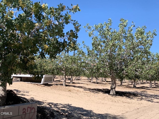 10080 Santa Fe Fire Rd, Lucerne Valley, CA 92356 - photo 26