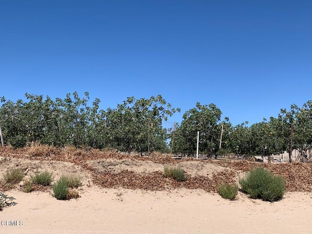 10080 Santa Fe Fire Rd, Lucerne Valley, CA 92356 - photo 33