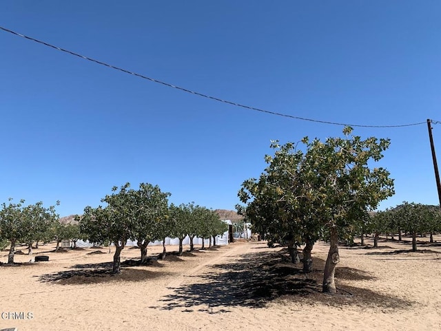 10080 Santa Fe Fire Rd, Lucerne Valley, CA 92356 - photo 13