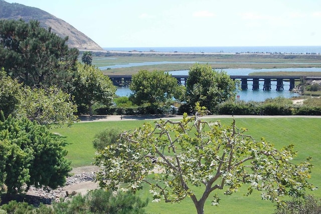 12859 Caminito Del Canto, Del Mar, CA 92014 - photo 47