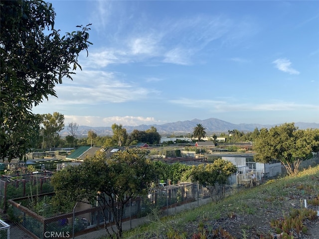 479 Calle Cadiz Unit A, Laguna Woods, CA 92637 - photo 59
