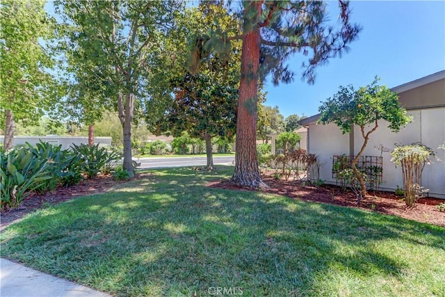 479 Calle Cadiz Unit A, Laguna Woods, CA 92637 - photo 48