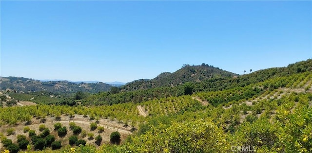 5 De Anza Rd, Temecula, CA 92590 - photo 15