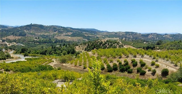 5 De Anza Rd, Temecula, CA 92590 - photo 2