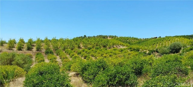 5 De Anza Rd, Temecula, CA 92590 - photo 18