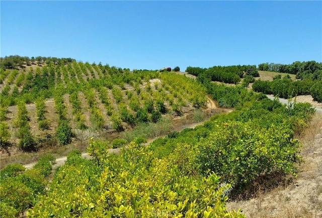 5 De Anza Rd, Temecula, CA 92590 - photo 8