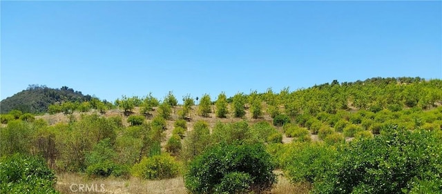 5 De Anza Rd, Temecula, CA 92590 - photo 21