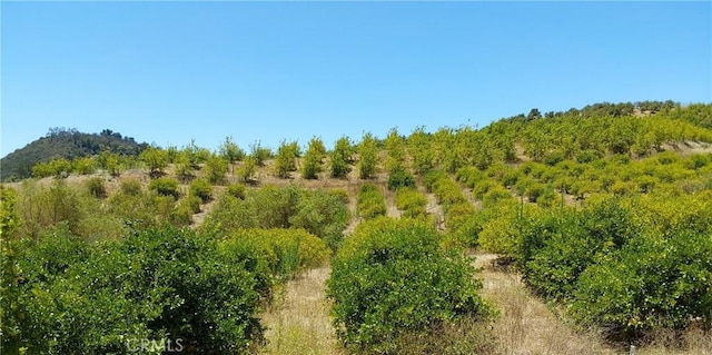 5 De Anza Rd, Temecula, CA 92590 - photo 17