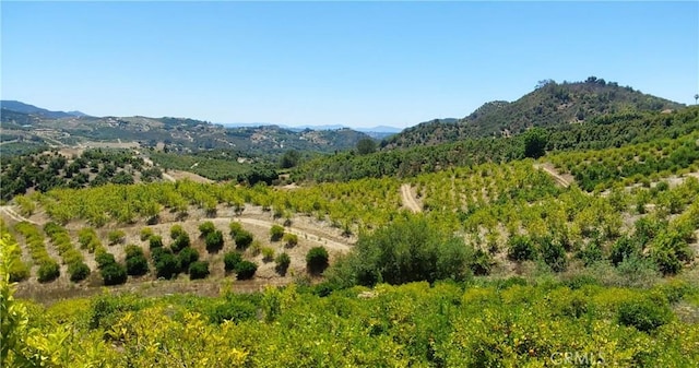5 De Anza Rd, Temecula, CA 92590 - photo 4
