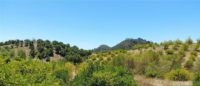 5 De Anza Rd, Temecula, CA 92590 - photo 20
