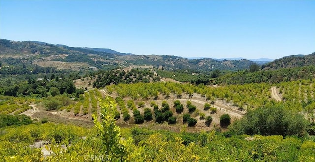 5 De Anza Rd, Temecula, CA 92590 - photo 3