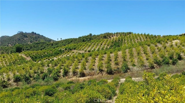 5 De Anza Rd, Temecula, CA 92590 - photo 6