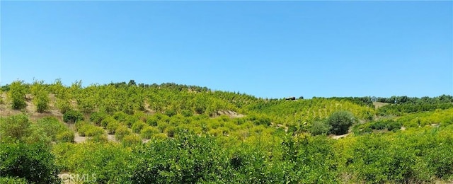 5 De Anza Rd, Temecula, CA 92590 - photo 22