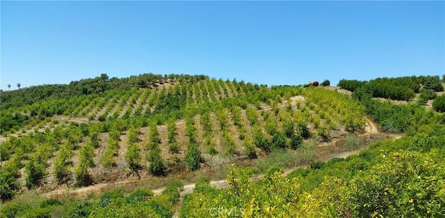 5 De Anza Rd, Temecula, CA 92590 - photo 7