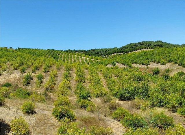 5 De Anza Rd, Temecula, CA 92590 - photo 24