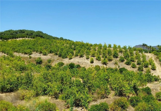 5 De Anza Rd, Temecula, CA 92590 - photo 27
