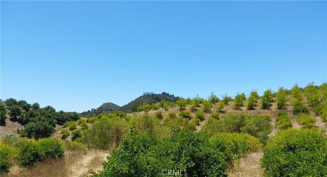 5 De Anza Rd, Temecula, CA 92590 - photo 16
