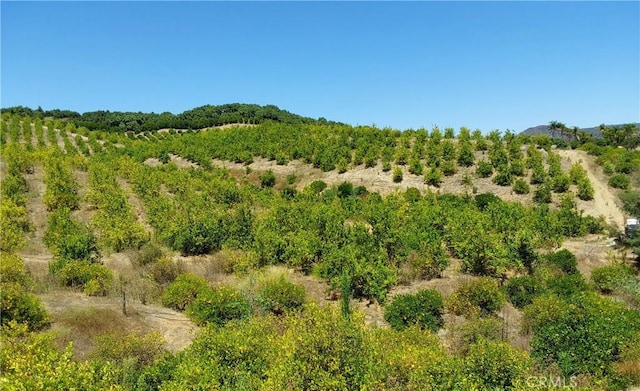 5 De Anza Rd, Temecula, CA 92590 - photo 26