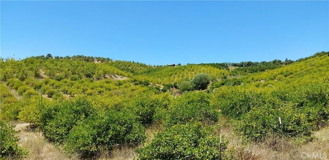 5 De Anza Rd, Temecula, CA 92590 - photo 19