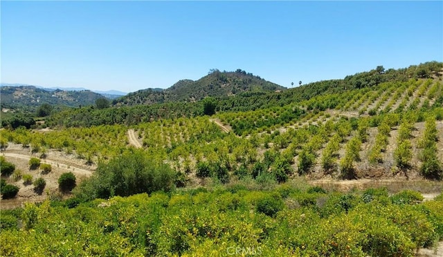 5 De Anza Rd, Temecula, CA 92590 - photo 5