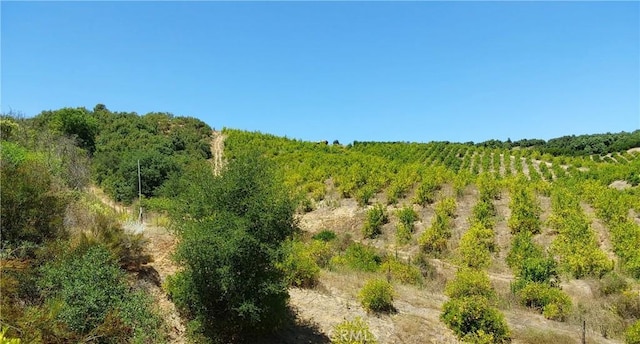 5 De Anza Rd, Temecula, CA 92590 - photo 23