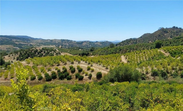 5 De Anza Rd, Temecula, CA 92590 - photo 9