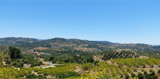 5 De Anza Rd, Temecula, CA 92590 - photo 13