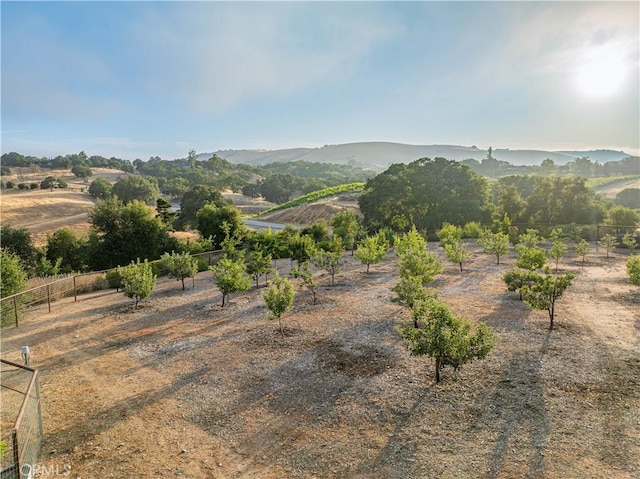 3030 Templeton, Templeton, CA 93465 - photo 68