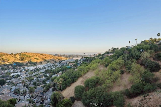 4308 Raynol St, Los Angeles, CA 90032 - photo 33