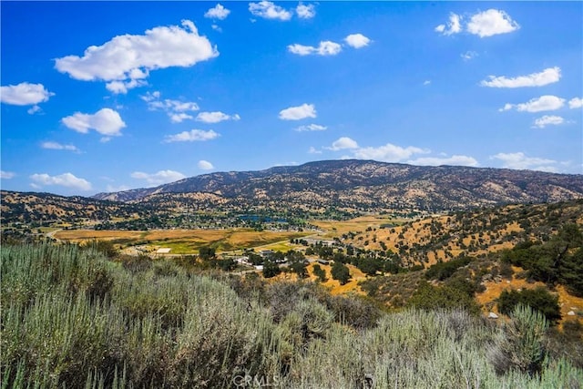 29400 Skyline Dr, Tehachapi, CA 93561 - photo 5