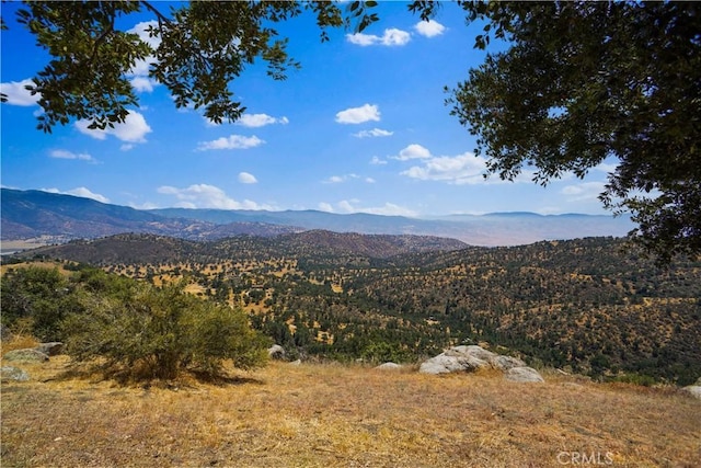 29400 Skyline Dr, Tehachapi, CA 93561 - photo 24