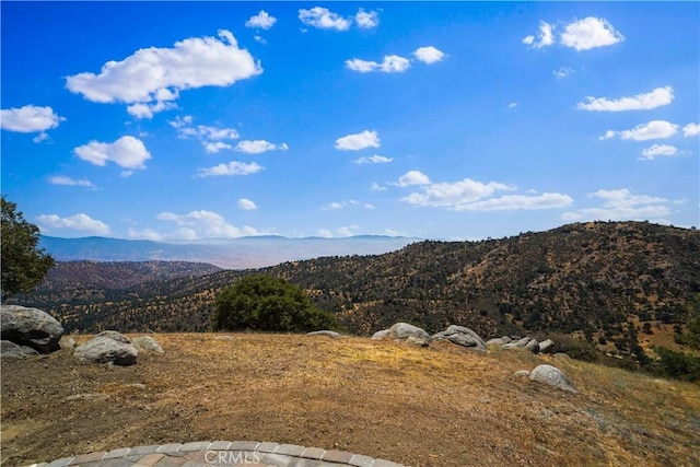 29400 Skyline Dr, Tehachapi, CA 93561 - photo 25