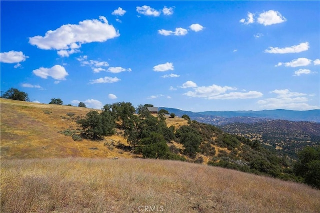 29400 Skyline Dr, Tehachapi, CA 93561 - photo 8