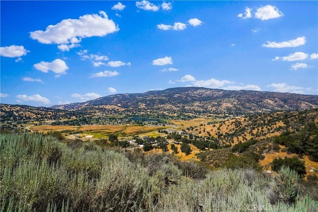 29400 Skyline Dr, Tehachapi, CA 93561 - photo 27