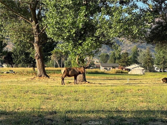 29400 Skyline Dr, Tehachapi, CA 93561 - photo 38