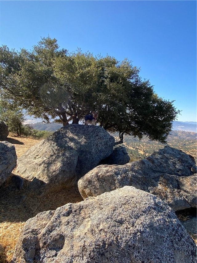 29400 Skyline Dr, Tehachapi, CA 93561 - photo 47