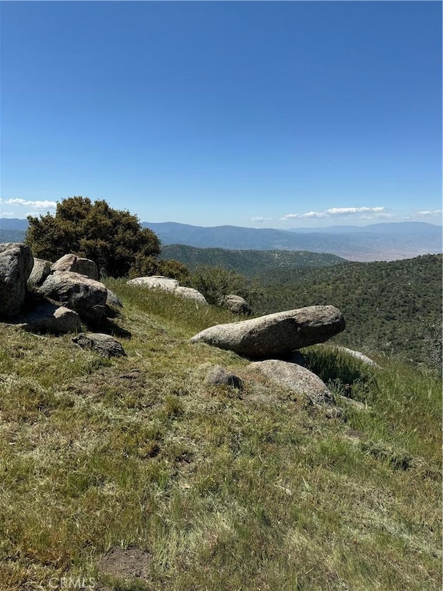 29400 Skyline Dr, Tehachapi, CA 93561 - photo 41