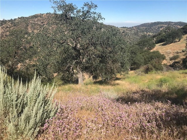 29400 Skyline Dr, Tehachapi, CA 93561 - photo 52