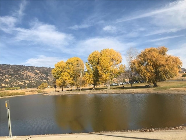 29400 Skyline Dr, Tehachapi, CA 93561 - photo 56